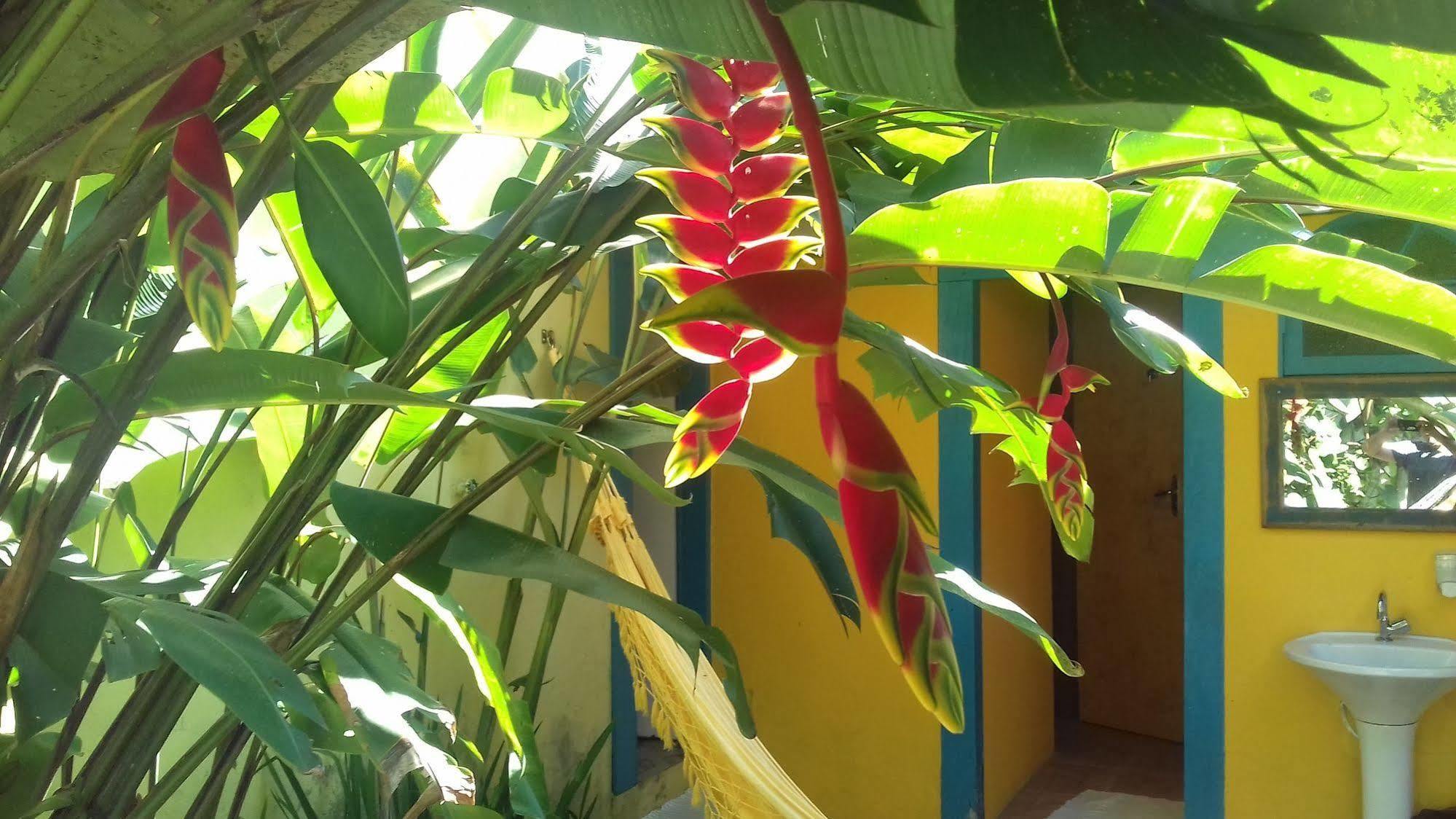 Maracuja Hostel باراتي المظهر الخارجي الصورة